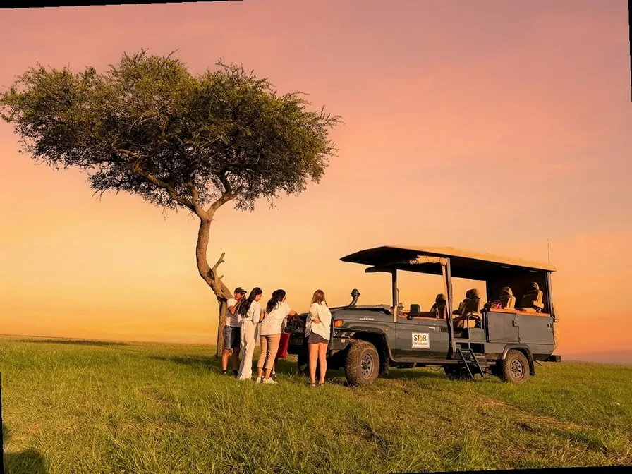 Group Travel