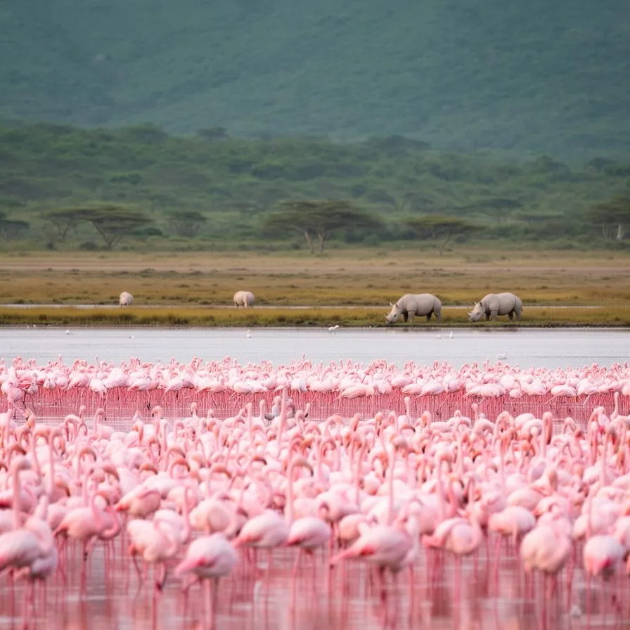 Lake Nakuru
